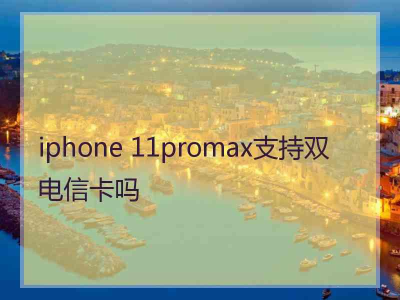 iphone 11promax支持双电信卡吗