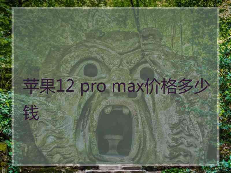 苹果12 pro max价格多少钱