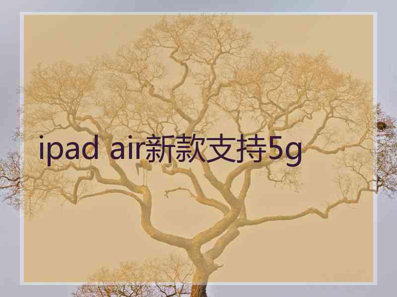 ipad air新款支持5g