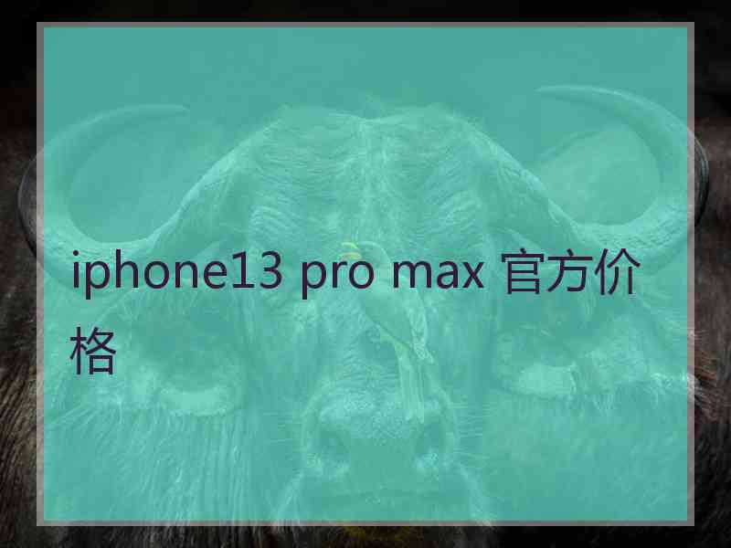 iphone13 pro max 官方价格