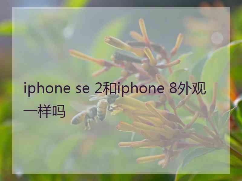 iphone se 2和iphone 8外观一样吗