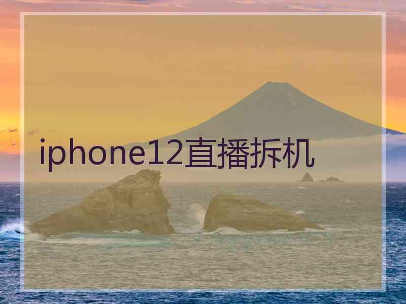 iphone12直播拆机