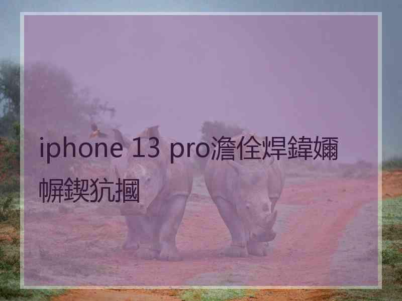 iphone 13 pro澹佺焊鍏嬭幈鍥犺摑