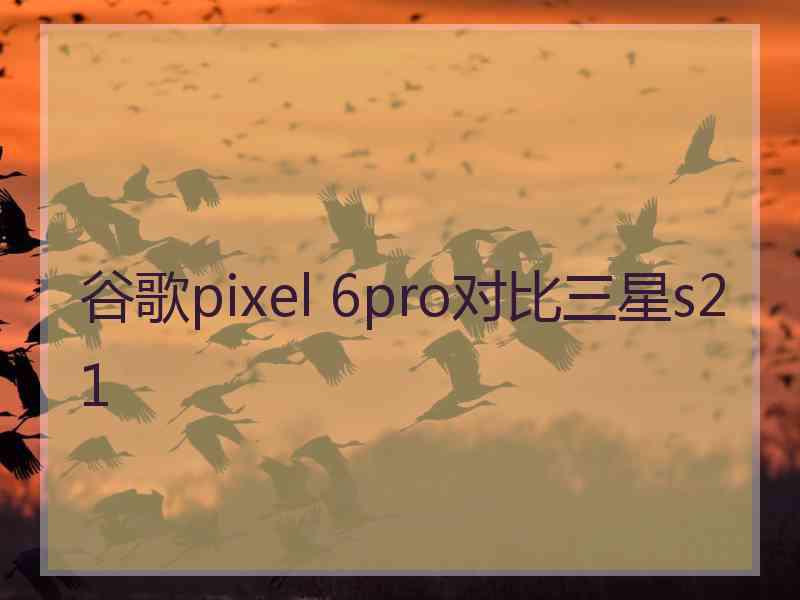 谷歌pixel 6pro对比三星s21