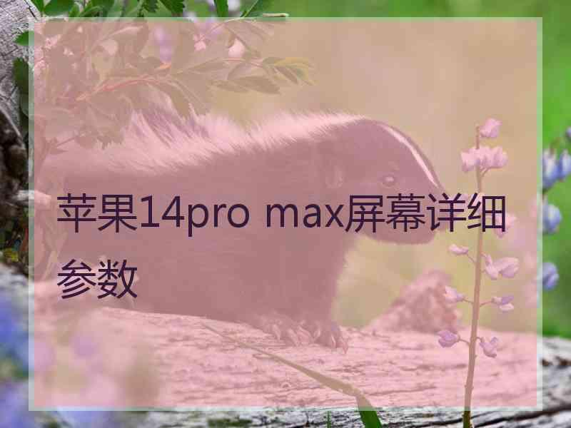 苹果14pro max屏幕详细参数