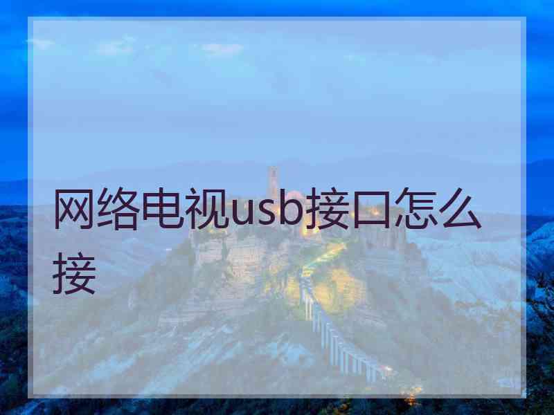 网络电视usb接口怎么接