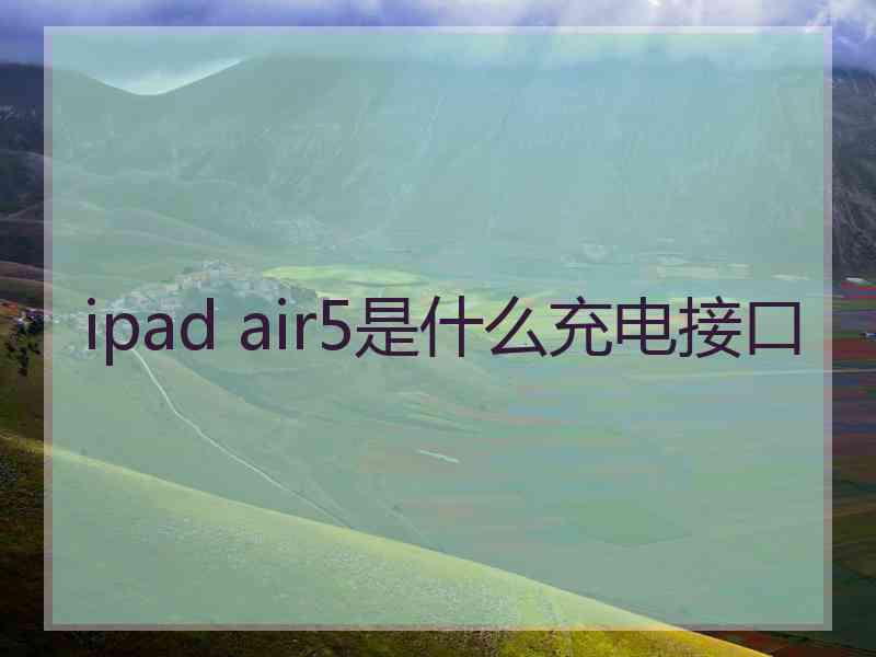 ipad air5是什么充电接口