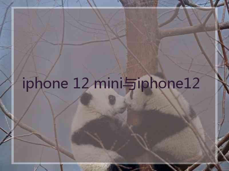 iphone 12 mini与iphone12