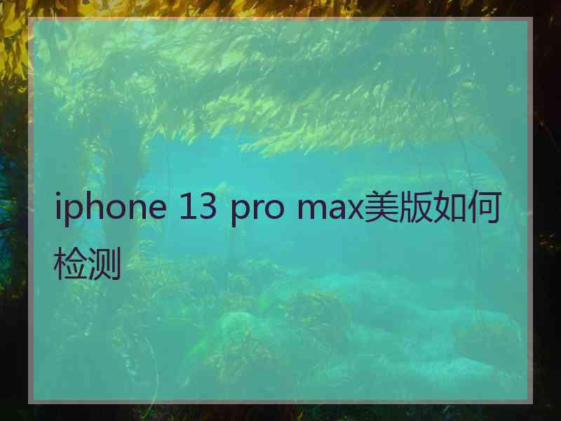 iphone 13 pro max美版如何检测