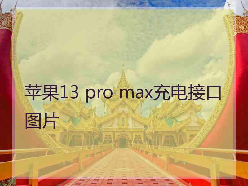 苹果13 pro max充电接口图片