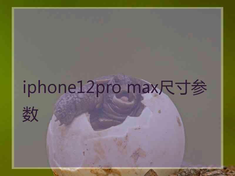 iphone12pro max尺寸参数