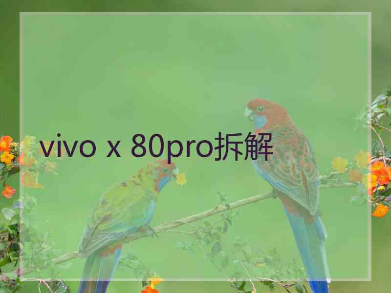 vivo x 80pro拆解