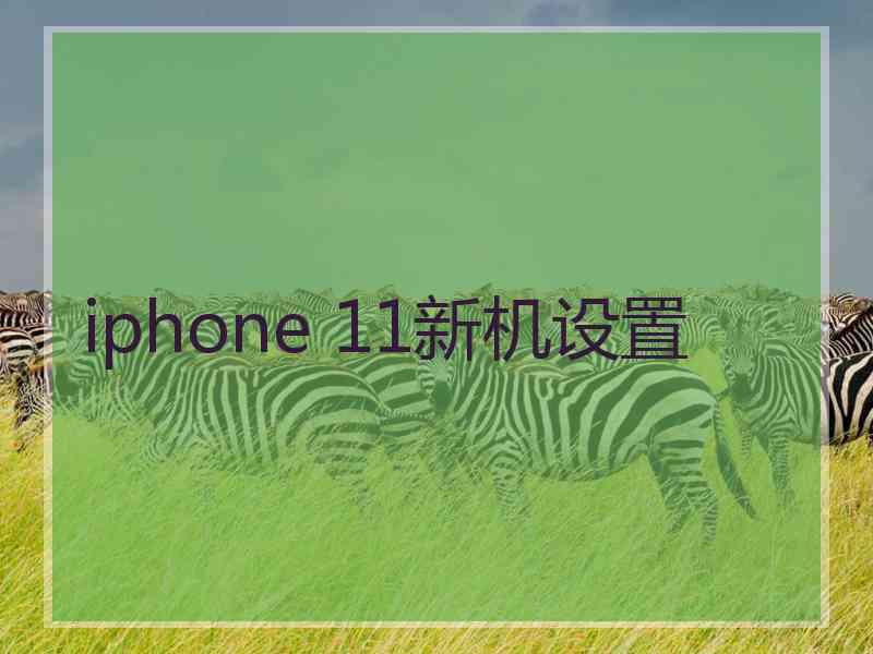 iphone 11新机设置