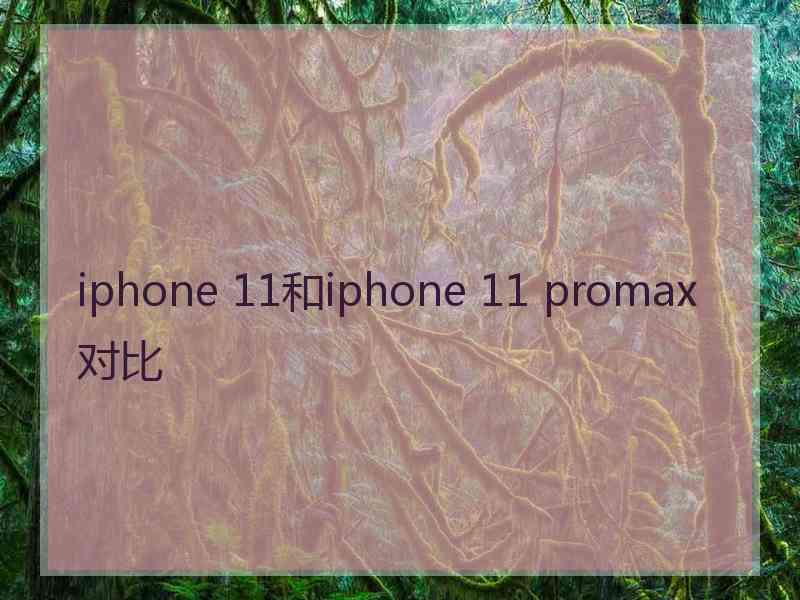 iphone 11和iphone 11 promax对比