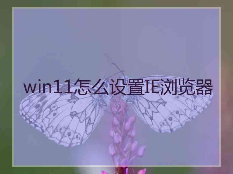 win11怎么设置IE浏览器