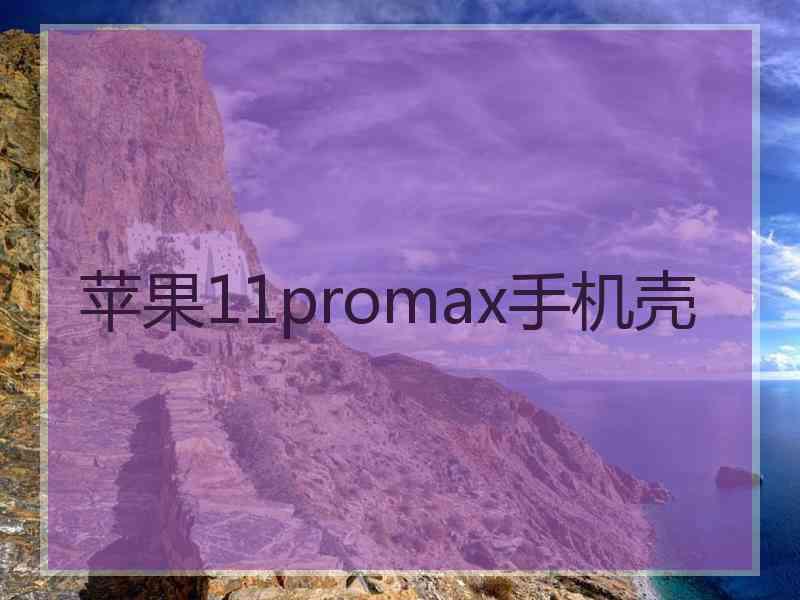 苹果11promax手机壳