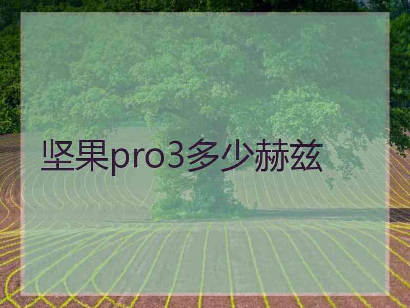 坚果pro3多少赫兹