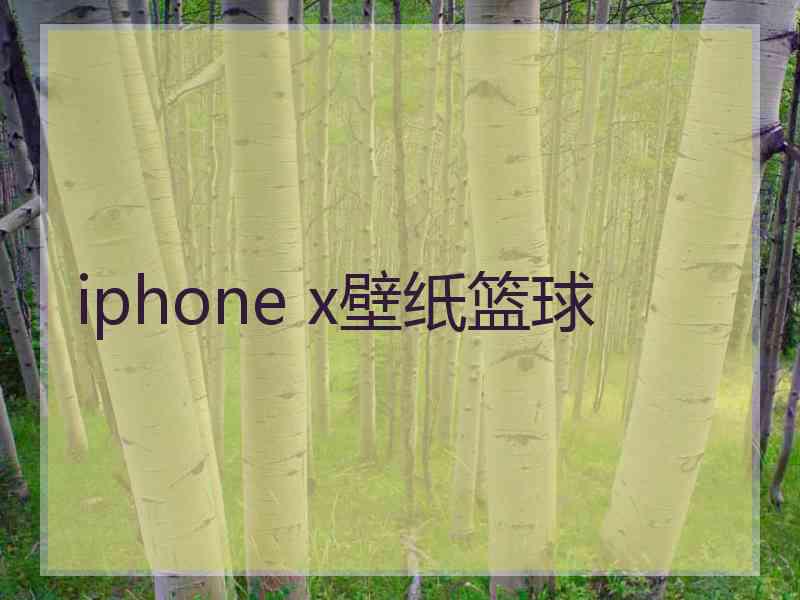 iphone x壁纸篮球