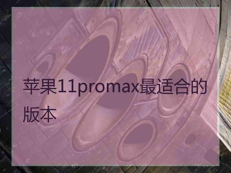 苹果11promax最适合的版本