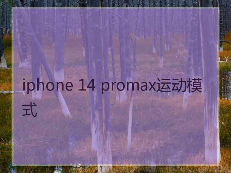 iphone 14 promax运动模式