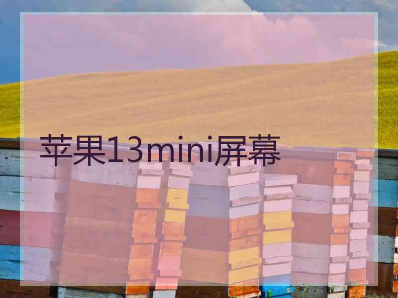 苹果13mini屏幕