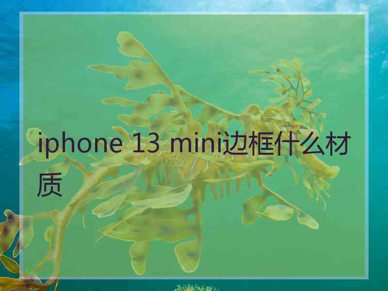 iphone 13 mini边框什么材质