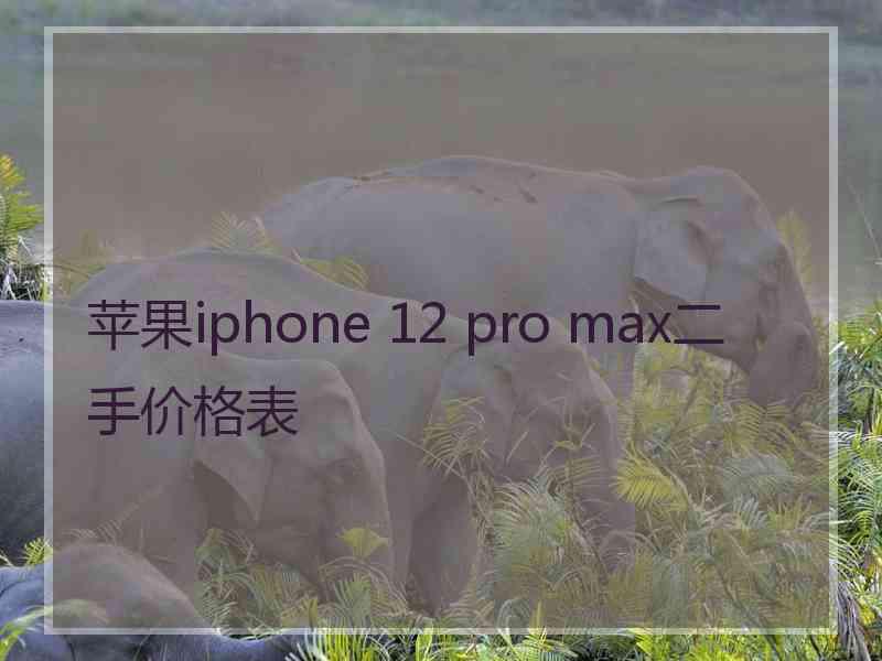 苹果iphone 12 pro max二手价格表