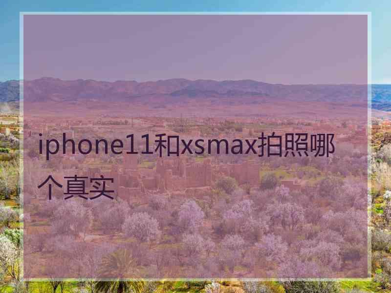 iphone11和xsmax拍照哪个真实