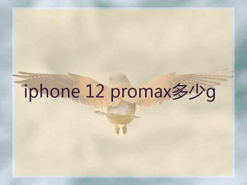 iphone 12 promax多少g