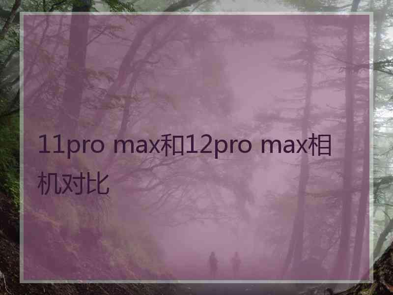 11pro max和12pro max相机对比