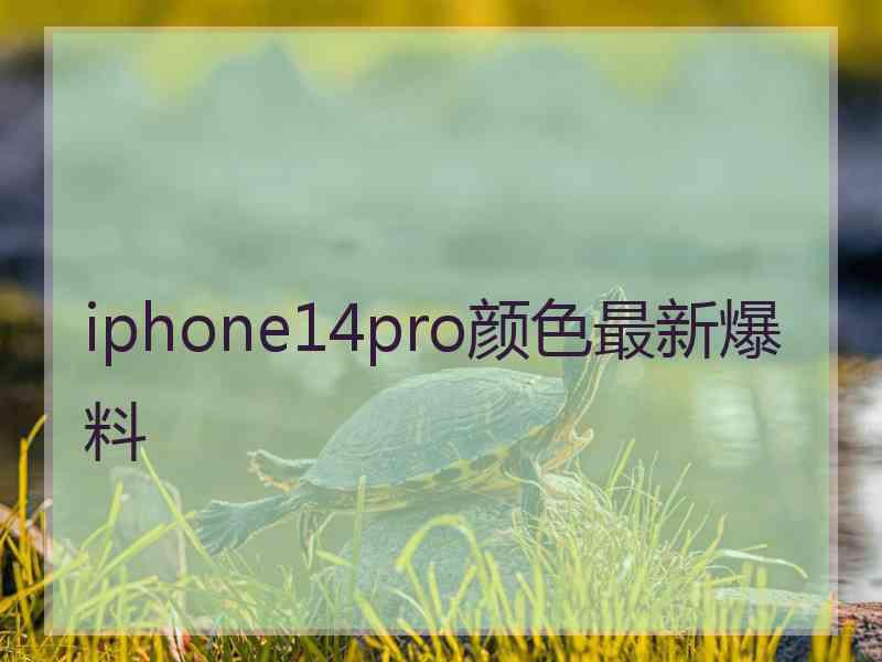 iphone14pro颜色最新爆料