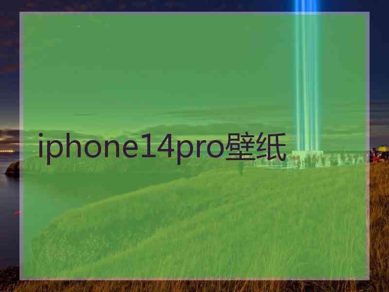 iphone14pro壁纸