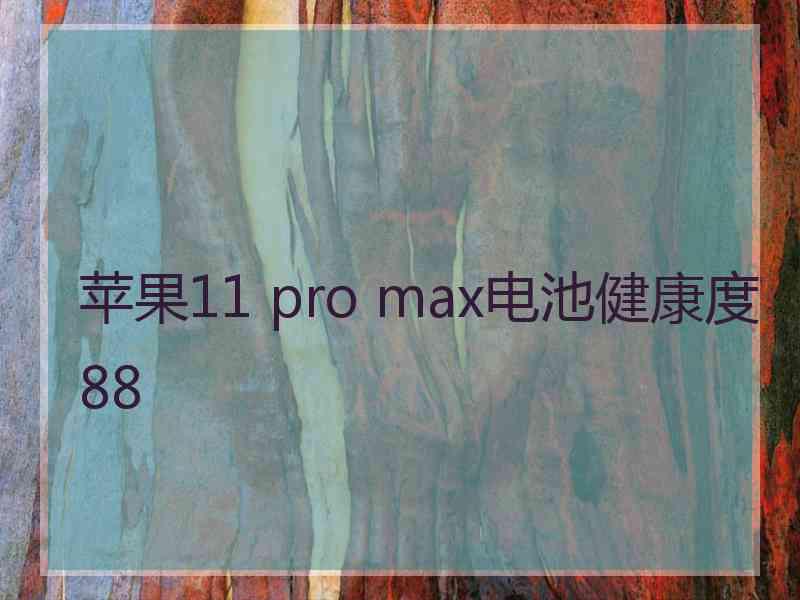 苹果11 pro max电池健康度88