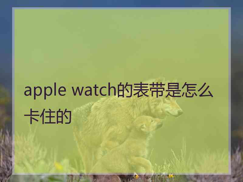 apple watch的表带是怎么卡住的