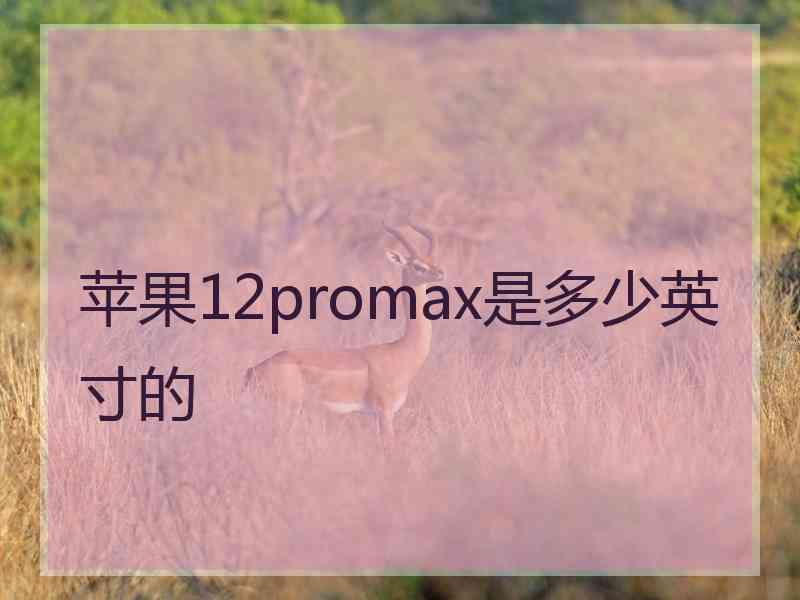 苹果12promax是多少英寸的