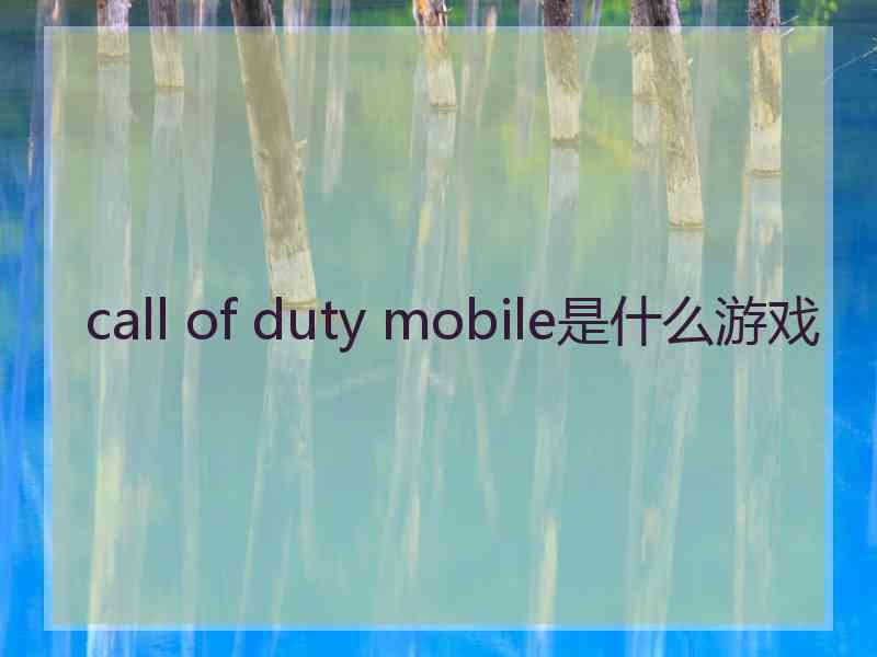 call of duty mobile是什么游戏