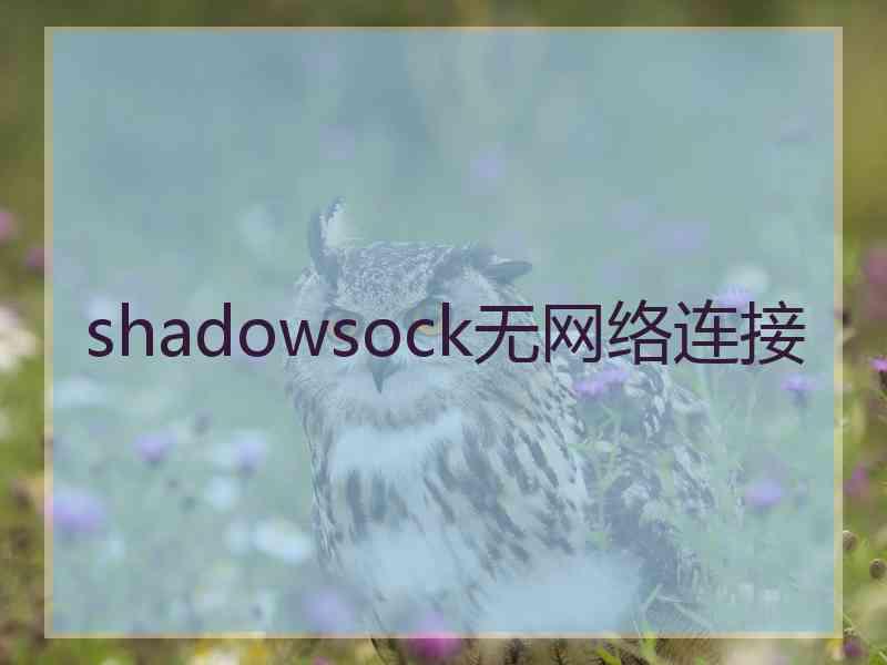 shadowsock无网络连接