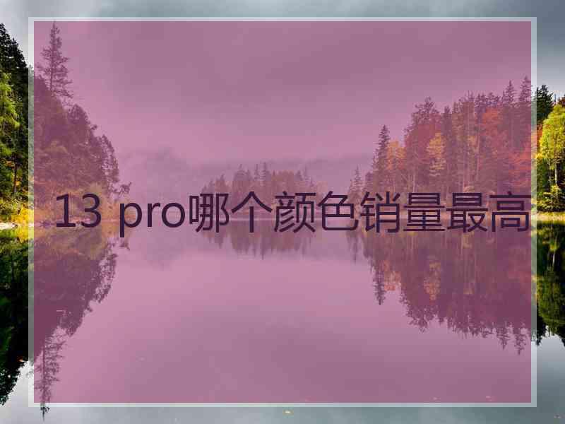 13 pro哪个颜色销量最高