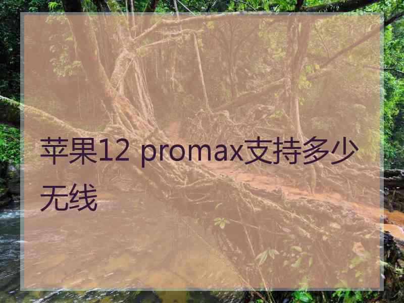 苹果12 promax支持多少无线