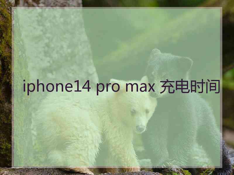 iphone14 pro max 充电时间