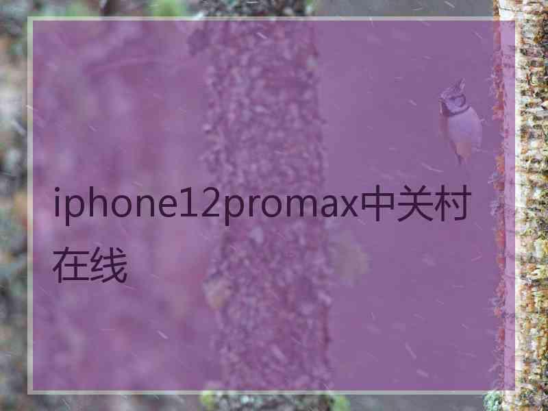 iphone12promax中关村在线