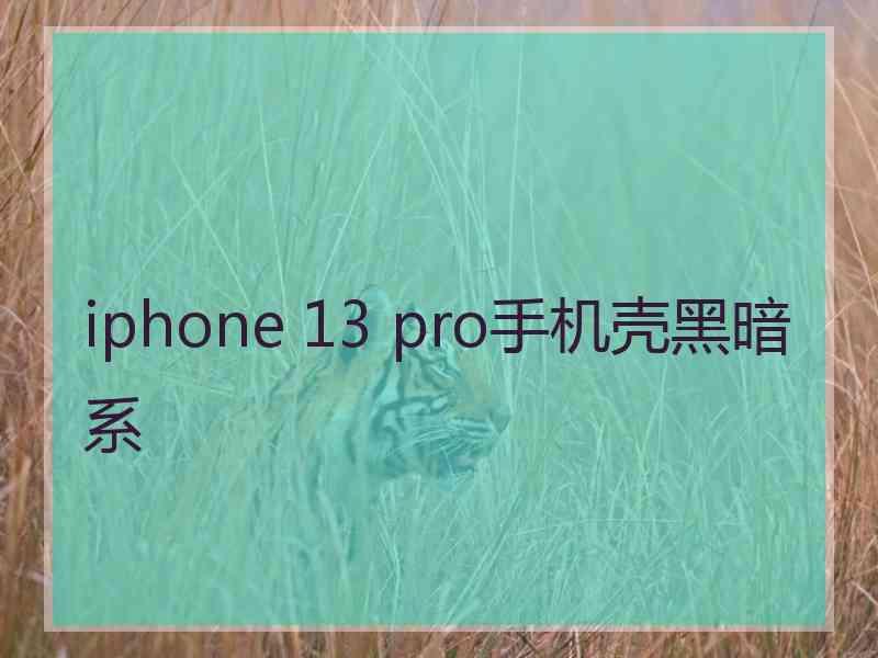 iphone 13 pro手机壳黑暗系