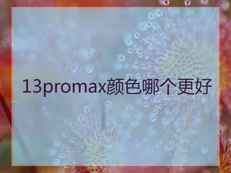 13promax颜色哪个更好