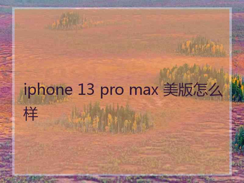 iphone 13 pro max 美版怎么样