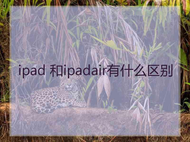 ipad 和ipadair有什么区别