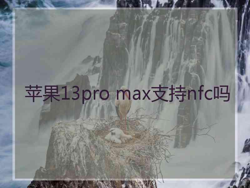 苹果13pro max支持nfc吗