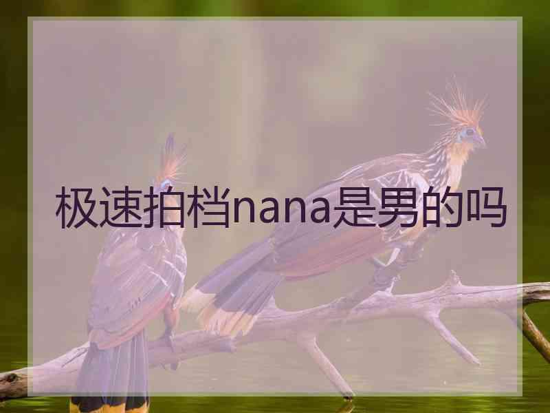 极速拍档nana是男的吗