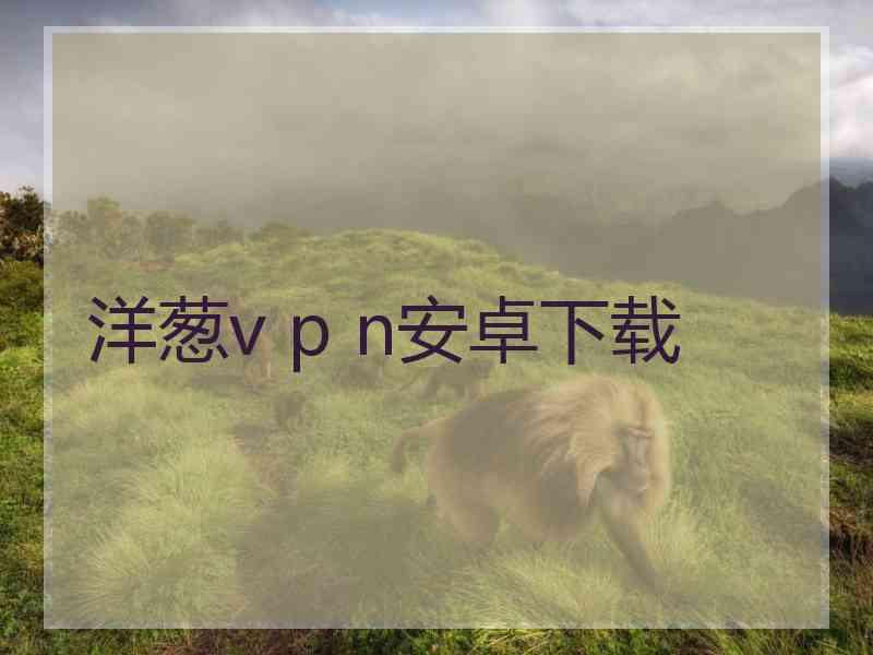 洋葱v p n安卓下载