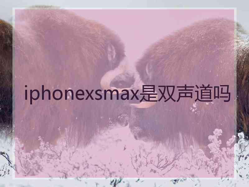 iphonexsmax是双声道吗