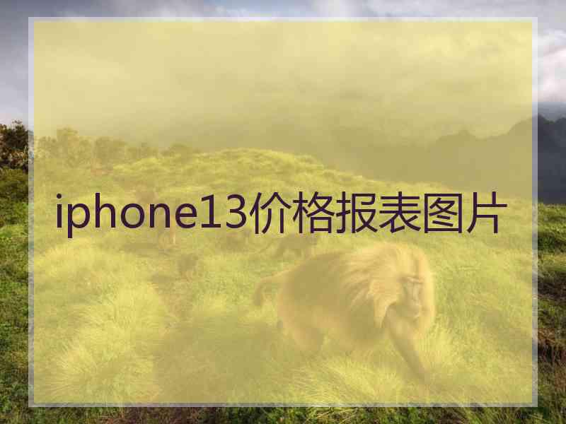 iphone13价格报表图片